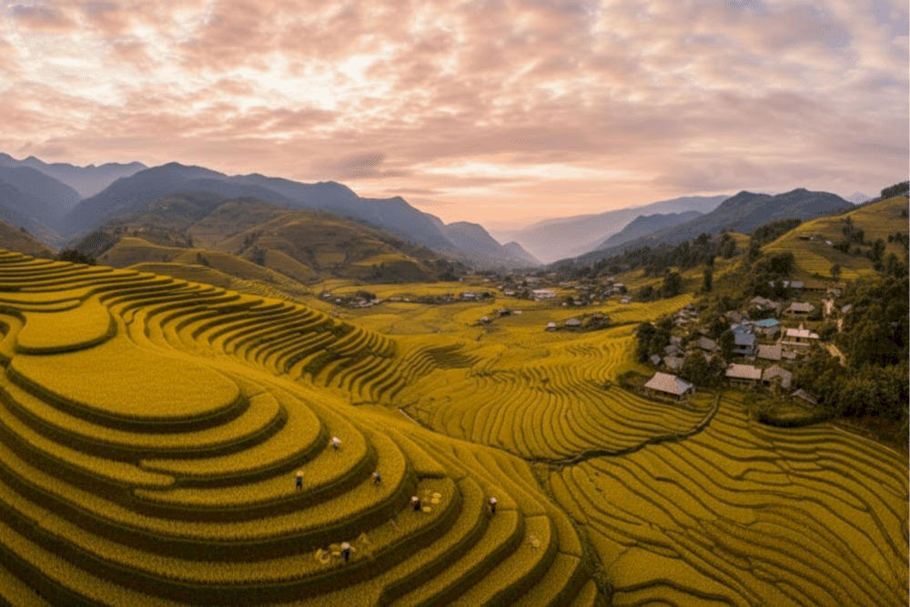 Muong Hoa Valley is famous for its beauty